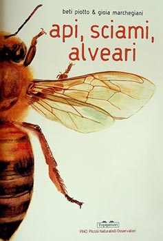 Api, sciami, alveari