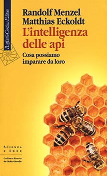 L'intelligenza delle api