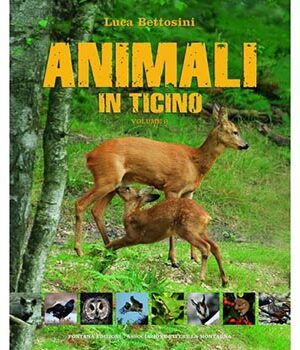 Animali in Ticino vol.2