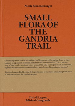 Small flora of the Gandria trail