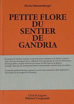 Petite flore du sentier de Gandria