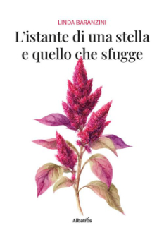 L'istante di una stella e quello che sfugge